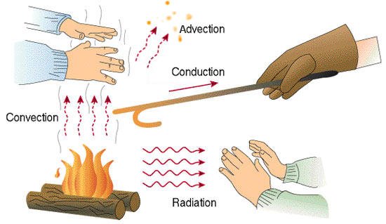 Heat Transfer in Bioprocessing and Biotechnology